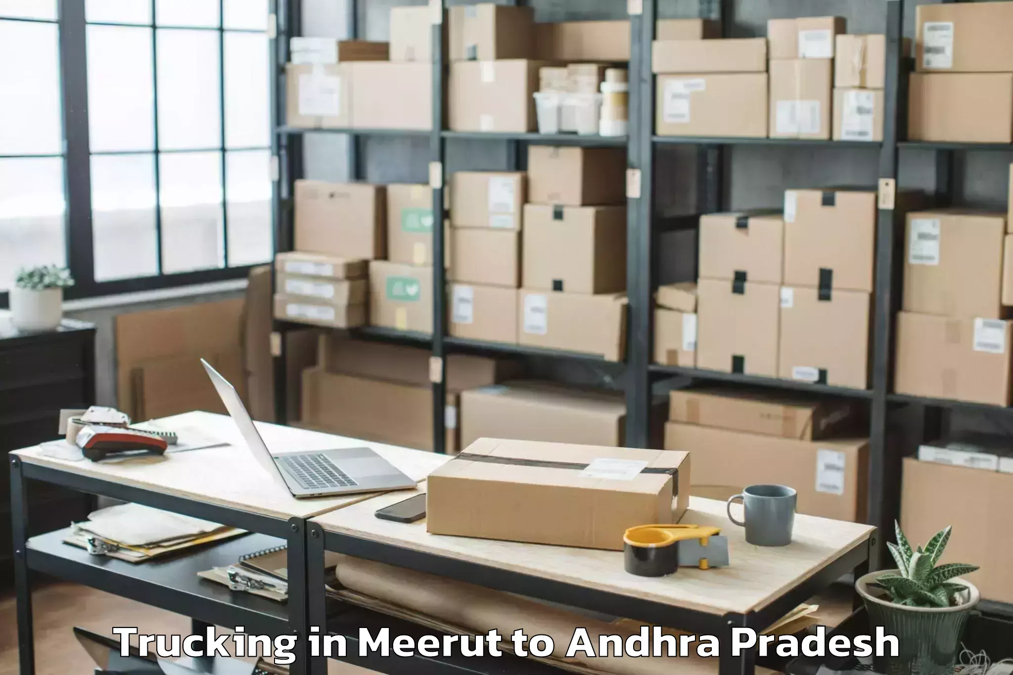 Top Meerut to Peddapuram Trucking Available